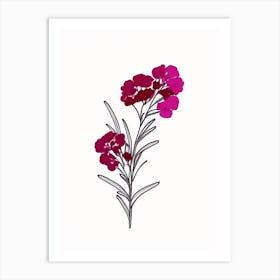 Sweet William Floral Minimal Line Drawing 1 Flower Art Print