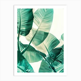 Tropical Leaves 127 Art Print