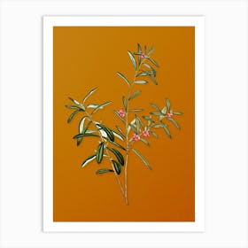 Vintage Bog Rosemary Bush Botanical on Sunset Orange n.0122 Art Print
