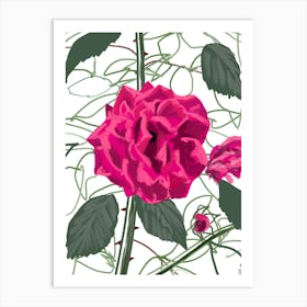 Strong Rose Art Print