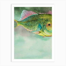 Parrotfish Storybook Watercolour Art Print