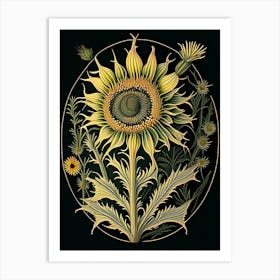 Compass Plant Wildflower Vintage Botanical 2 Art Print