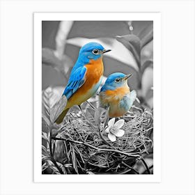 Bluebirds In Nest Art Print