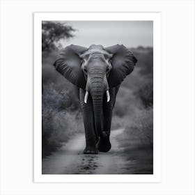 Elephant In The Wild 2 Art Print