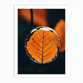 Water Droplet Art Print