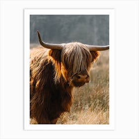 Highland Cow in the field | colorful travel photography Art Print