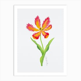 Tulip3 Art Print