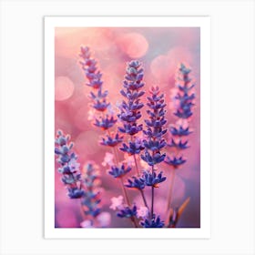 Lavender In Pink Light No 1 Art Print