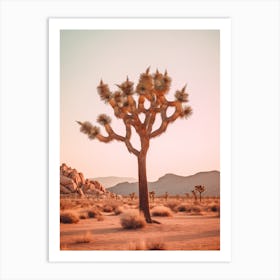 Photograph Of A Joshua Tree At Dusk In A Sandy Desert 3 Art Print