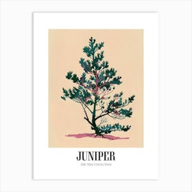 Juniper Tree Colourful Illustration 3 Poster Art Print