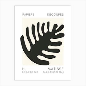 Matisse 29 Art Print