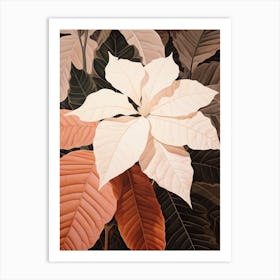 Flower Illustration Poinsettia Art Print