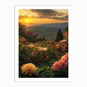 Dahlias At Sunset Art Print