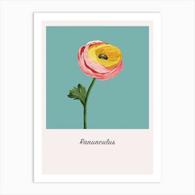 Ranunculus 2 Square Flower Illustration Poster Art Print