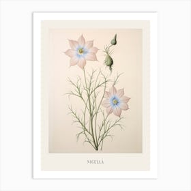 Floral Illustration Love In A Mist Nigella 2 Poster Art Print