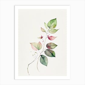 Wild Rose Leaf Minimalist Watercolour 3 Art Print