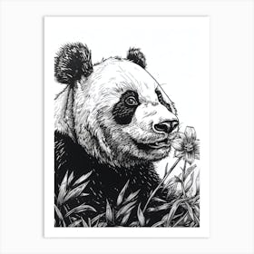 Giant Panda Sniffing A Flower Ink Illustration 1 Art Print