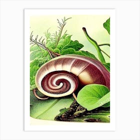 Snail By Freshwater Stream Botanical Art Print