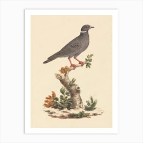 Album Of 34 Drawings Of Animals And Birds From The Bruce Archive, Luigi Balugani Art Print