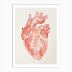 Human Heart 1 Art Print