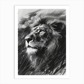African Lion Charcoal Drawing Facing A Storm 3 Art Print