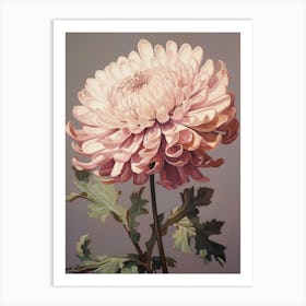 Floral Illustration Chrysanthemum 2 Art Print