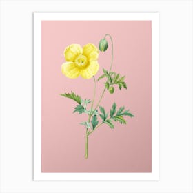 Vintage Welsh Poppy Botanical on Soft Pink n.0146 Art Print