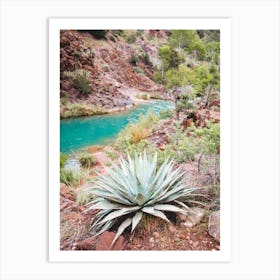 Turquoise Cactus River Art Print