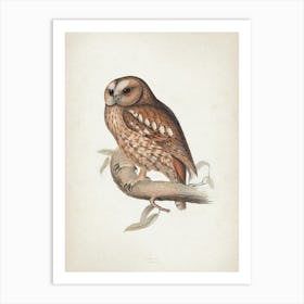 Vintage Lear 2 Wood Owl Art Print