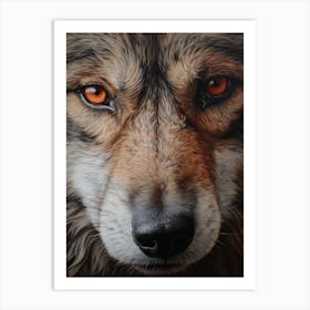 Indian Wolf Eye 1 Art Print