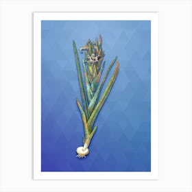 Vintage Ferraria Botanical Art on Blue Perennial n.0770 Art Print