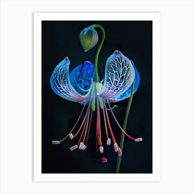 Flora 1 Art Print