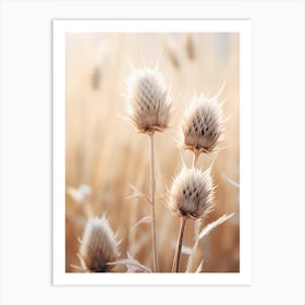 Thistle 2 Art Print