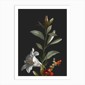 Lilies 2 Art Print