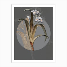 Vintage Botanical Iris Fimbriata on Circle Gray on Gray n.0010 Art Print