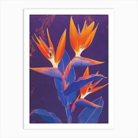 Bird Of Paradise 52 Art Print