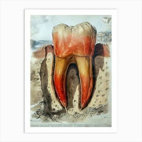 Anatomy Of A Tooth biology dentist Art Print