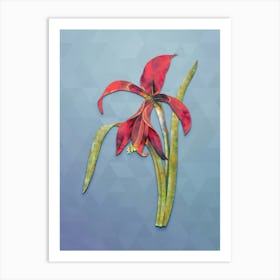 Vintage Amaryllis Botanical Art on Summer Song Blue n.0656 Art Print