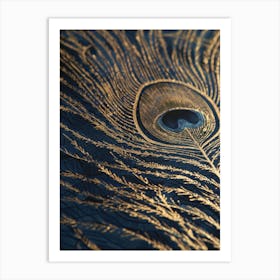 Peacock Feather Art Print