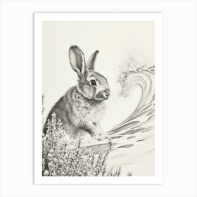 Holland Lop Rabbit Drawing 4 Art Print