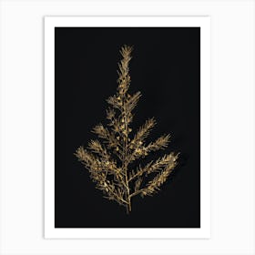 Vintage Sea Asparagus Botanical in Gold on Black Art Print