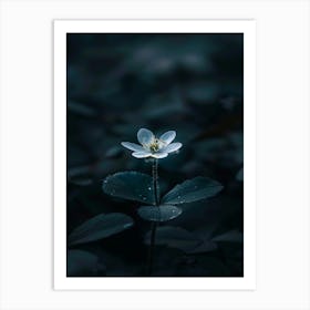 Flower In The Dark 8 Art Print