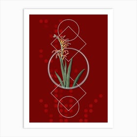 Vintage Antholyza Aethiopica Botanical with Geometric Line Motif and Dot Pattern n.0330 Art Print