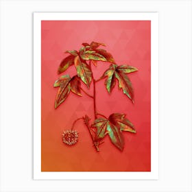 Vintage American Sweetgum Botanical Art on Fiery Red n.0106 Art Print