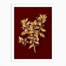 Vintage Evergreen Oak Botanical in Gold on Red n.0597 Art Print