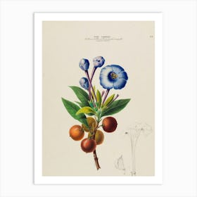 Blue Flowers Art Print