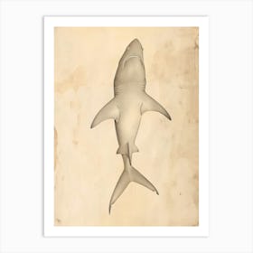 Phoebefy A Pencil Crayon Drawing Of A Shark Centred 1970prese 2195bb1a Fbb7 4268 9d5c 8ad9e61ce27a 0 Art Print