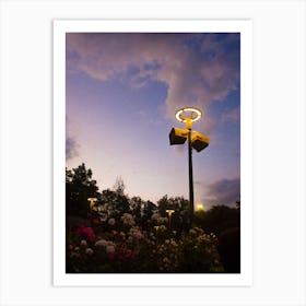 Twilight In The Park Art Print