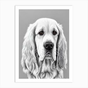 Clumber Spaniel B&W Pencil Dog Art Print