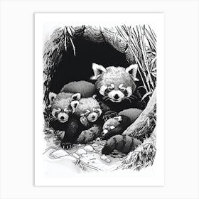 Red Panda Family Sleeping In A Cave Ink Illustration 2 Art Print